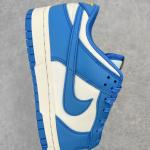 Nike Dunk Low "Coast"